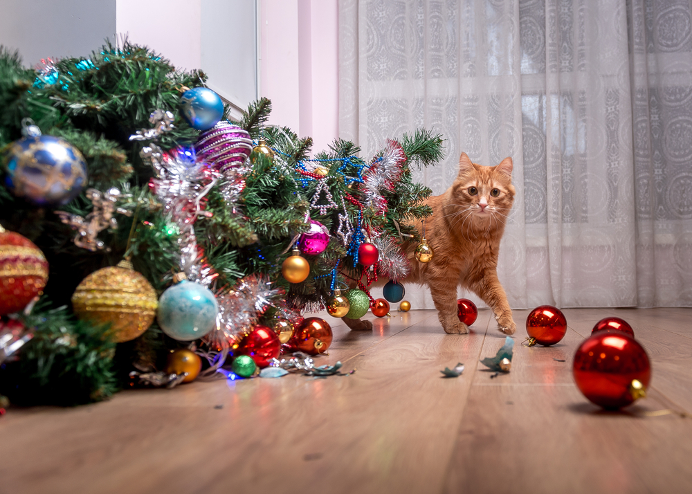 How to Avoid 9 Holiday Pet Dangers